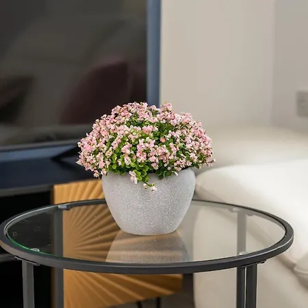 Beautiful - Parking - Yorksha Leeds (West Yorkshire)